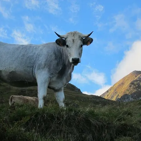 Hotel Des Deux Rivieres Seix