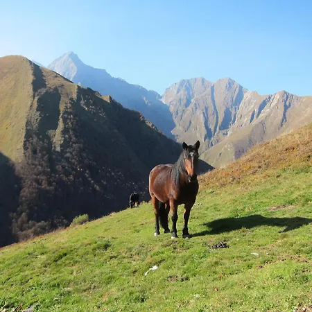 Hotel Des Deux Rivieres